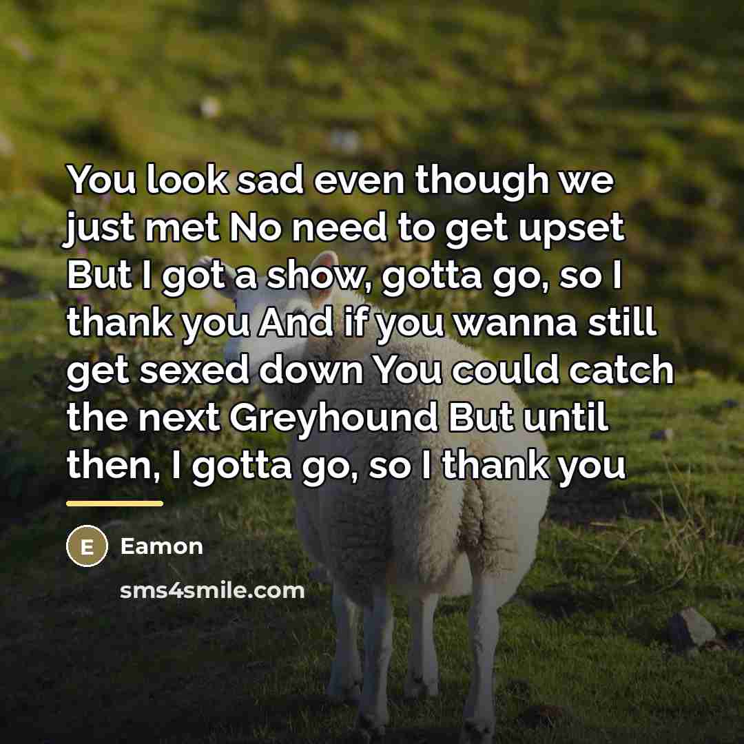 “You look sad even though we just met No need…” quote by Eamon