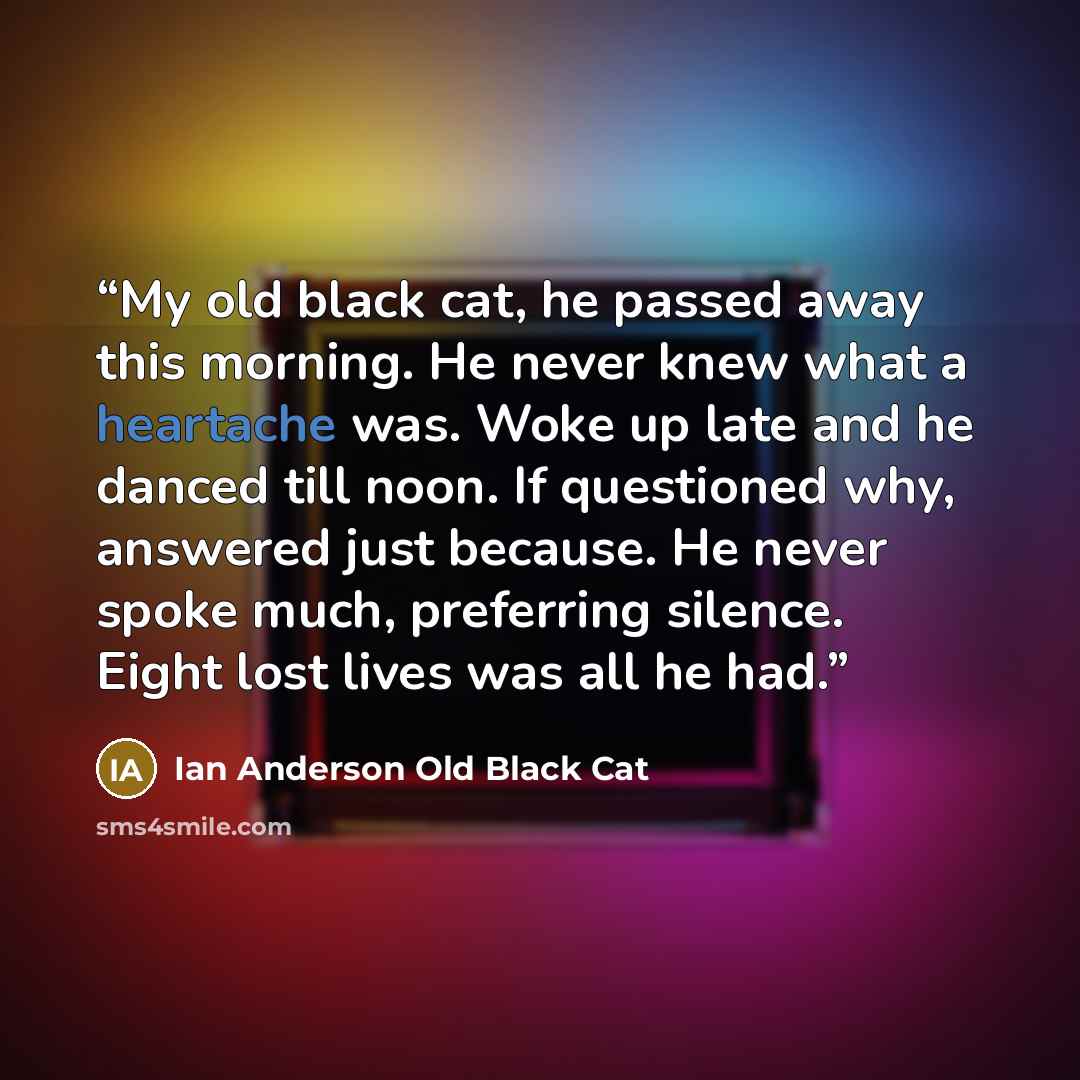 “My old black cat, he passed away this morning. He never knew what a heartache was. Woke up late and he danced till noon. If questioned why, answered just because. He never spoke much, preferring silence. Eight lost lives was all he had.” quote by Ian Anderson Old Black Cat