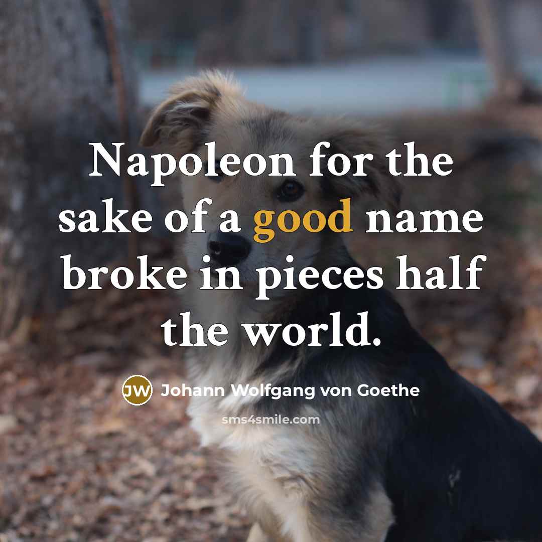 “Napoleon for the sake of a good name broke in…” quote by Johann Wolfgang von Goethe