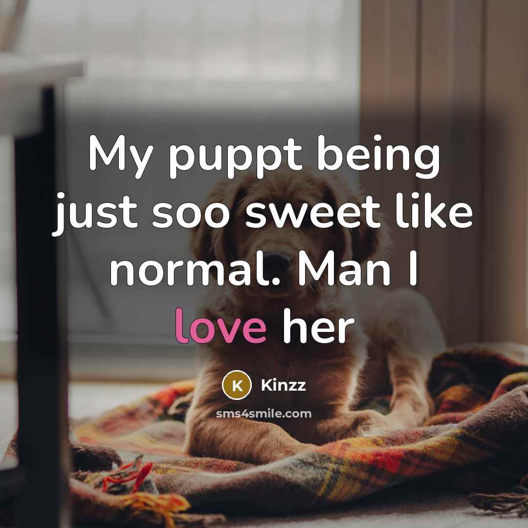 “My puppt being just soo sweet like normal. Man I…” quote by Kinzz