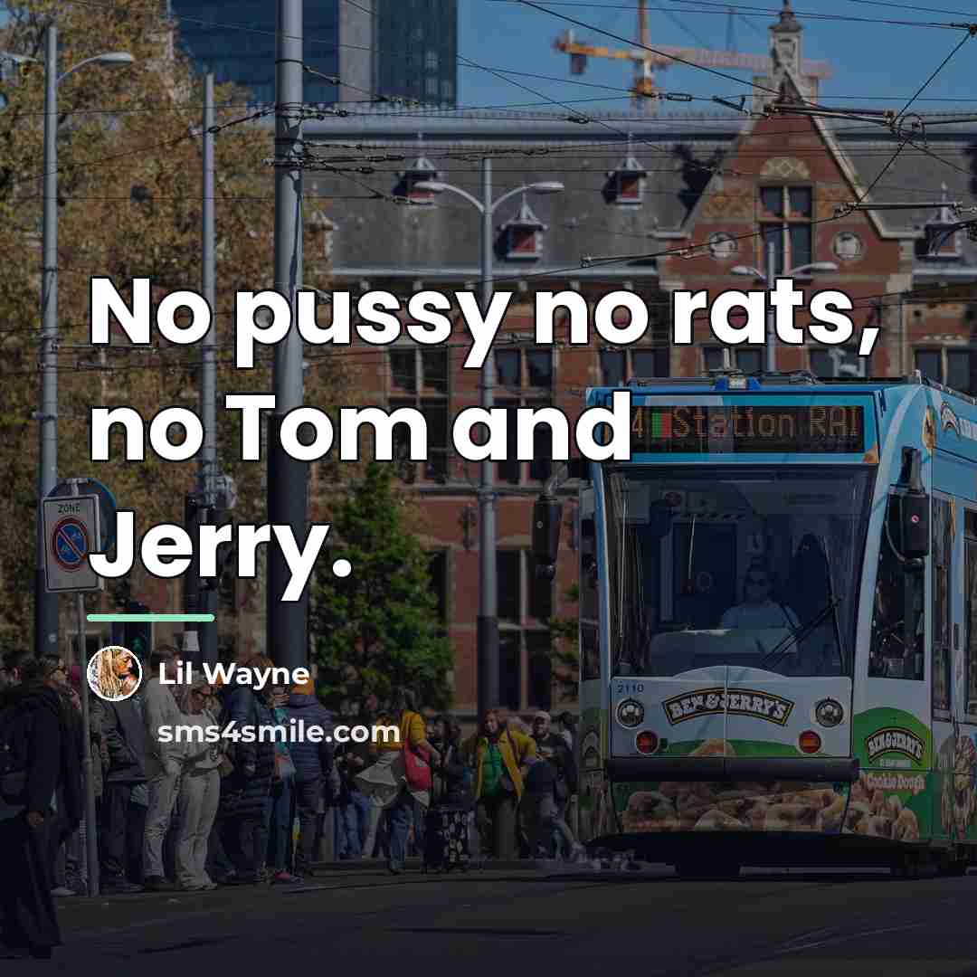 “No pussy no rats, no Tom and Jerry.…” quote by Lil Wayne