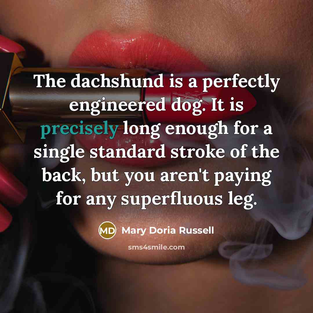 “The dachshund is a perfectly engineered dog. It is precisely long enough for a single standard stroke of the back, but you aren't paying for any superfluous leg.” quote by Mary Doria Russell
