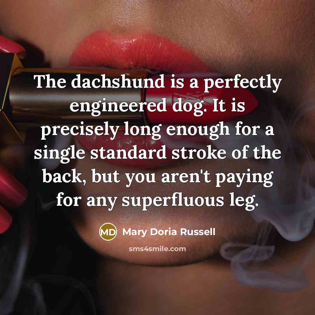 “The dachshund is a perfectly engineered dog. It is precisely…” quote by Mary Doria Russell