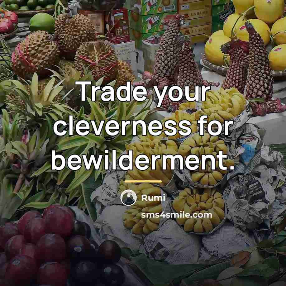“Trade your cleverness for bewilderment.…” quote by Rumi