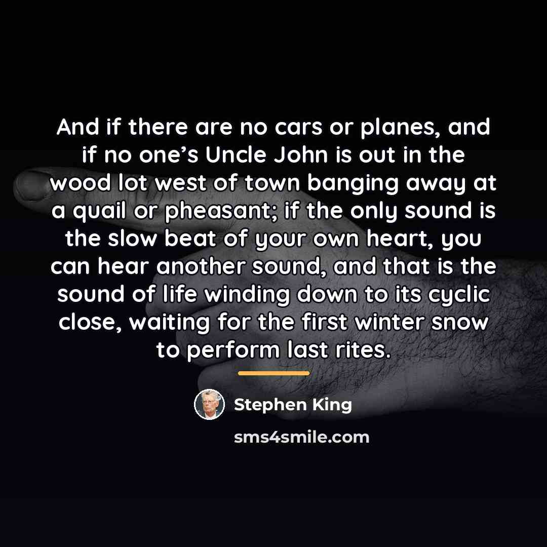 “And if there are no cars or planes, and if…” quote by Stephen King
