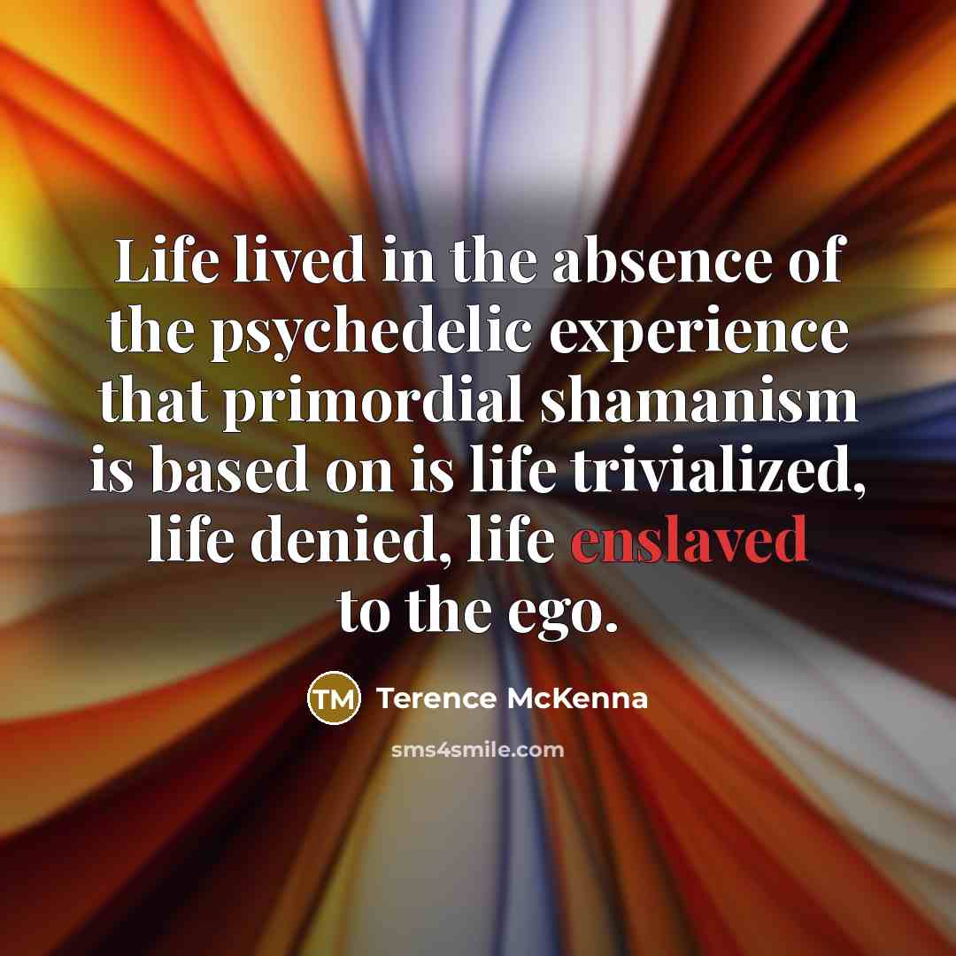 “Life lived in the absence of the psychedelic experience that…” quote by Terence McKenna