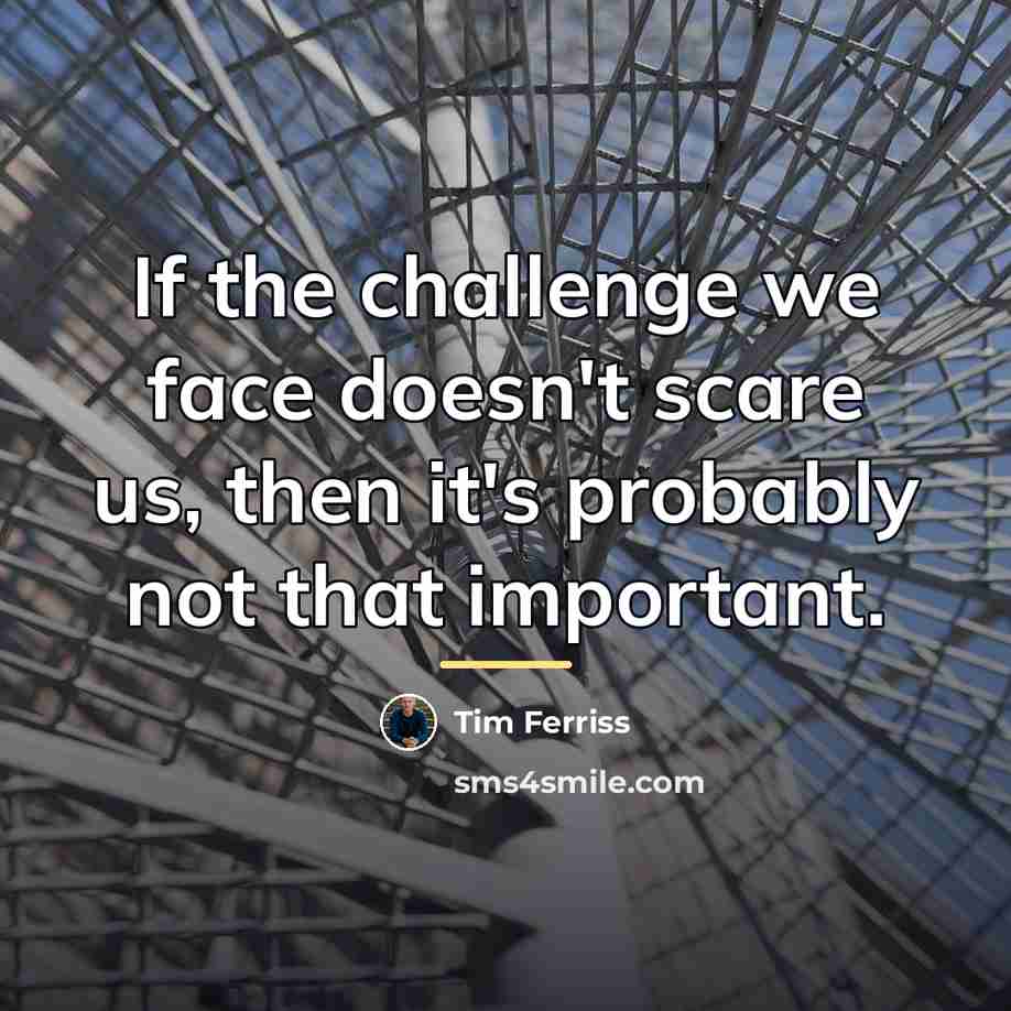 “If the challenge we face doesn't scare us, then it's…” quote by Tim Ferriss