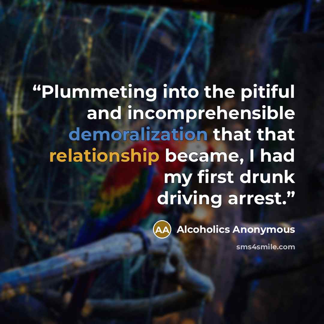 “Plummeting into the pitiful and incomprehensible demoralization that that relationship became, I had my first drunk driving arrest.” quote by Alcoholics Anonymous