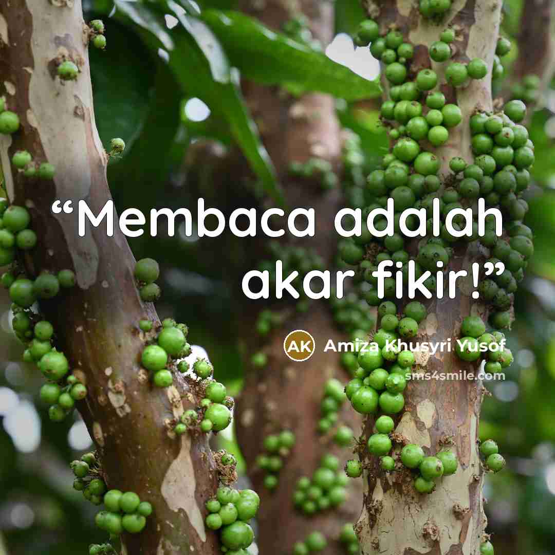 “Membaca adalah akar fikir!” quote by Amiza Khusyri Yusof