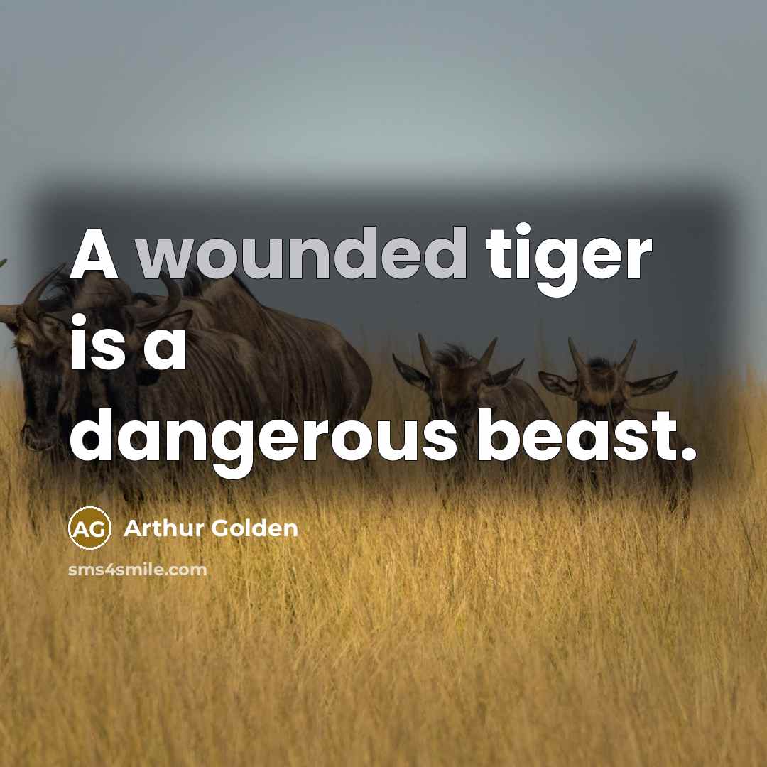 “A wounded tiger is a dangerous beast.…” quote by Arthur Golden
