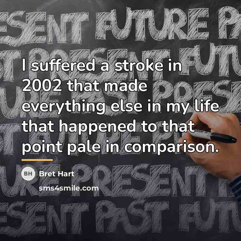 “I suffered a stroke in 2002 that made everything else…” quote by Bret Hart