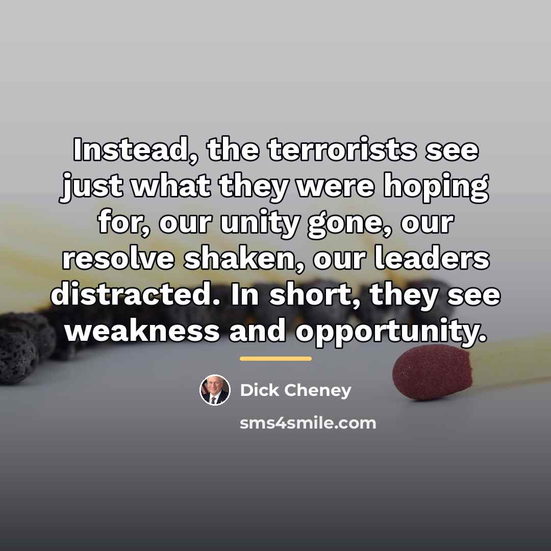 “Instead, the terrorists see just what they were hoping for,…” quote by Dick Cheney