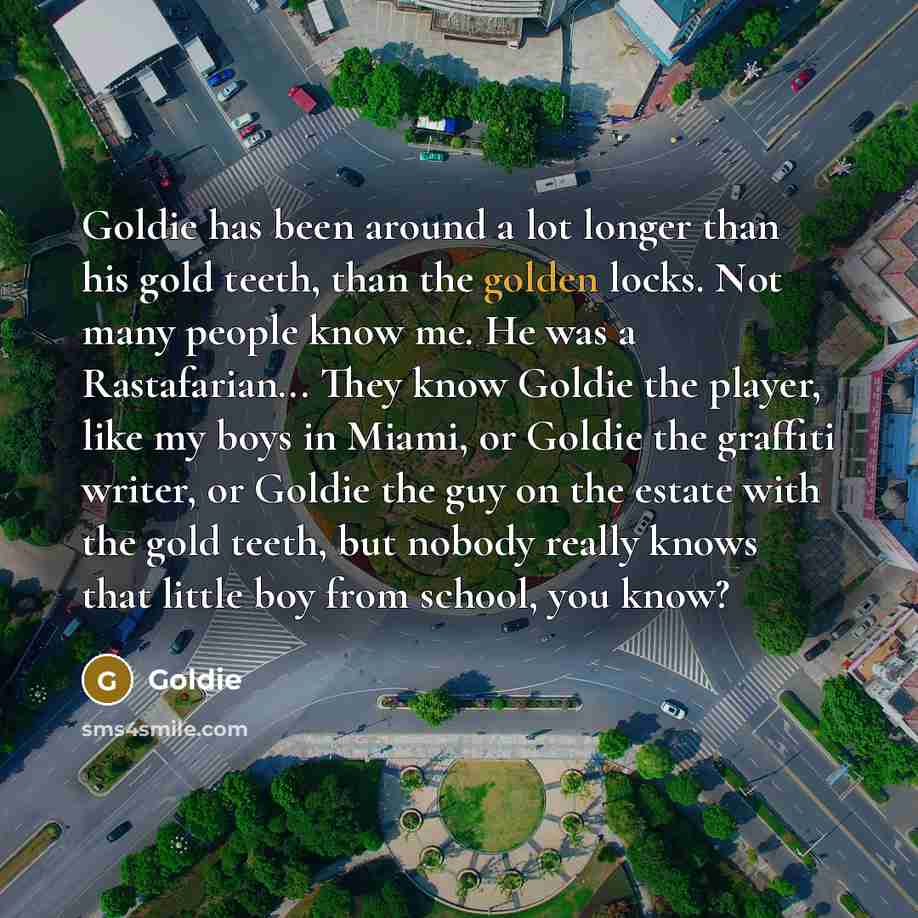 “Goldie has been around a lot longer than his gold…” quote by Goldie