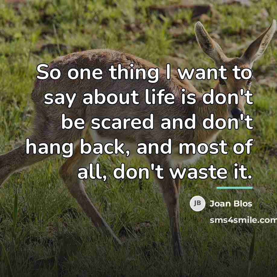 “So one thing I want to say about life is…” quote by Joan Blos