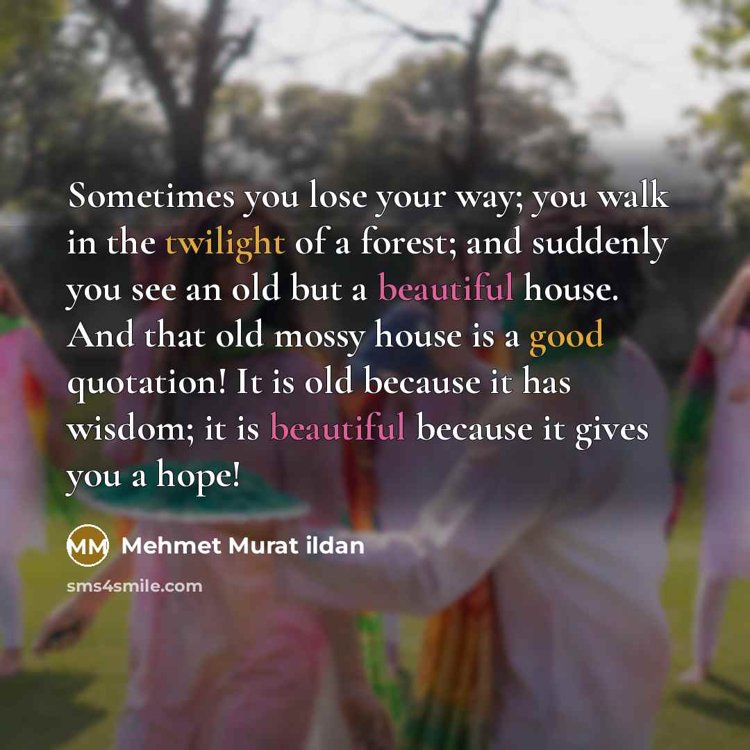 “Sometimes you lose your way; you walk in the twilight…” quote by Mehmet Murat Ildan