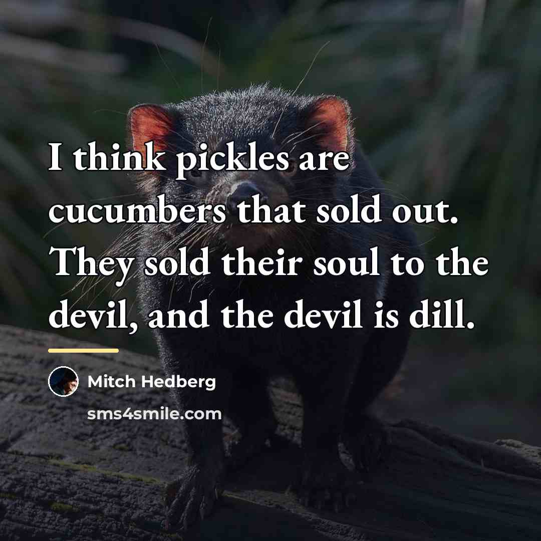 “I think pickles are cucumbers that sold out. They sold…” quote by Mitch Hedberg