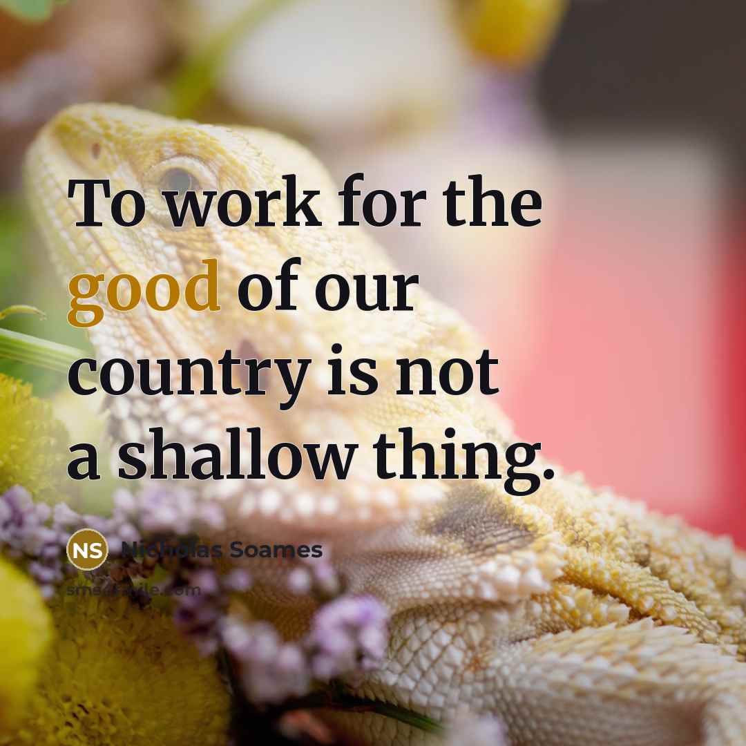 “To work for the good of our country is not…” quote by Nicholas Soames