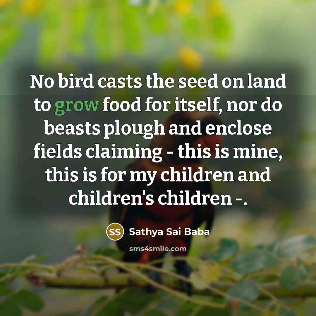 “No bird casts the seed on land to grow food…” quote by Sathya Sai Baba
