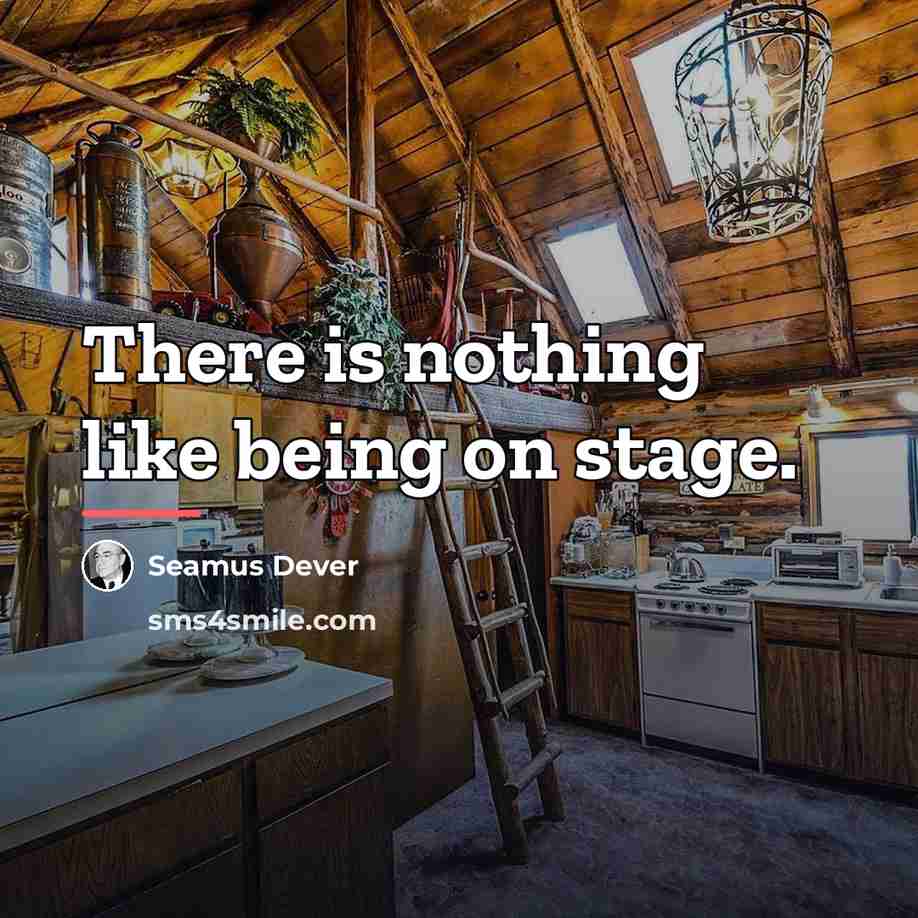 “There is nothing like being on stage.…” quote by Seamus Dever