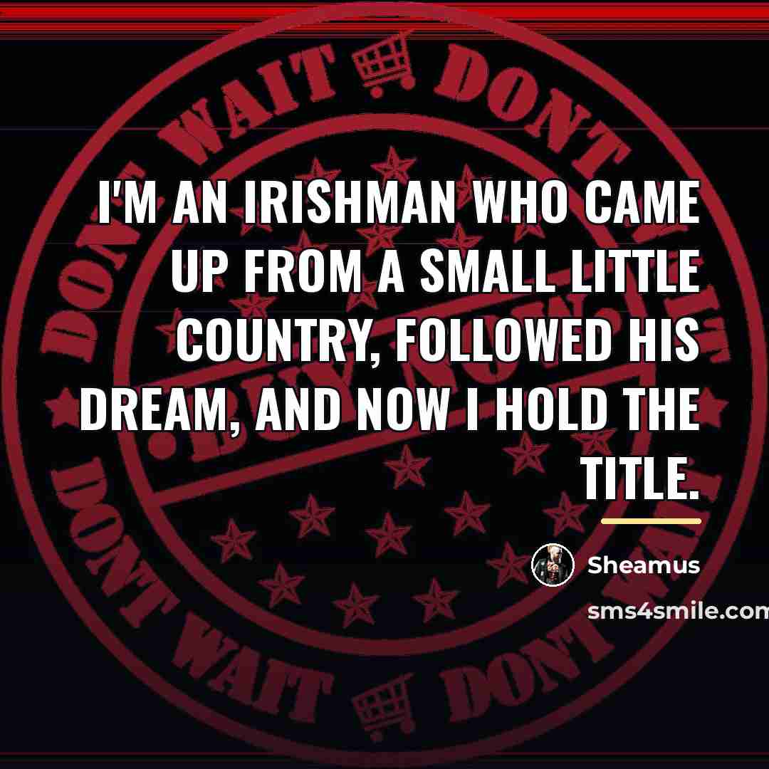 “I'm an Irishman who came up from a small little…” quote by Sheamus