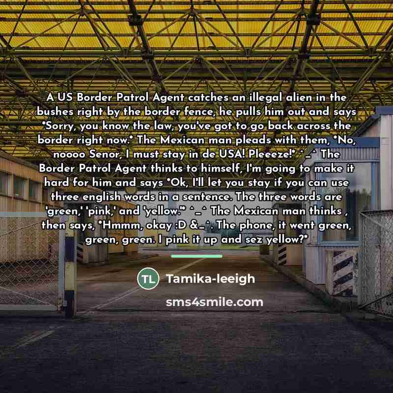 “A US Border Patrol Agent catches an illegal alien in…” quote by Tamika-leeigh