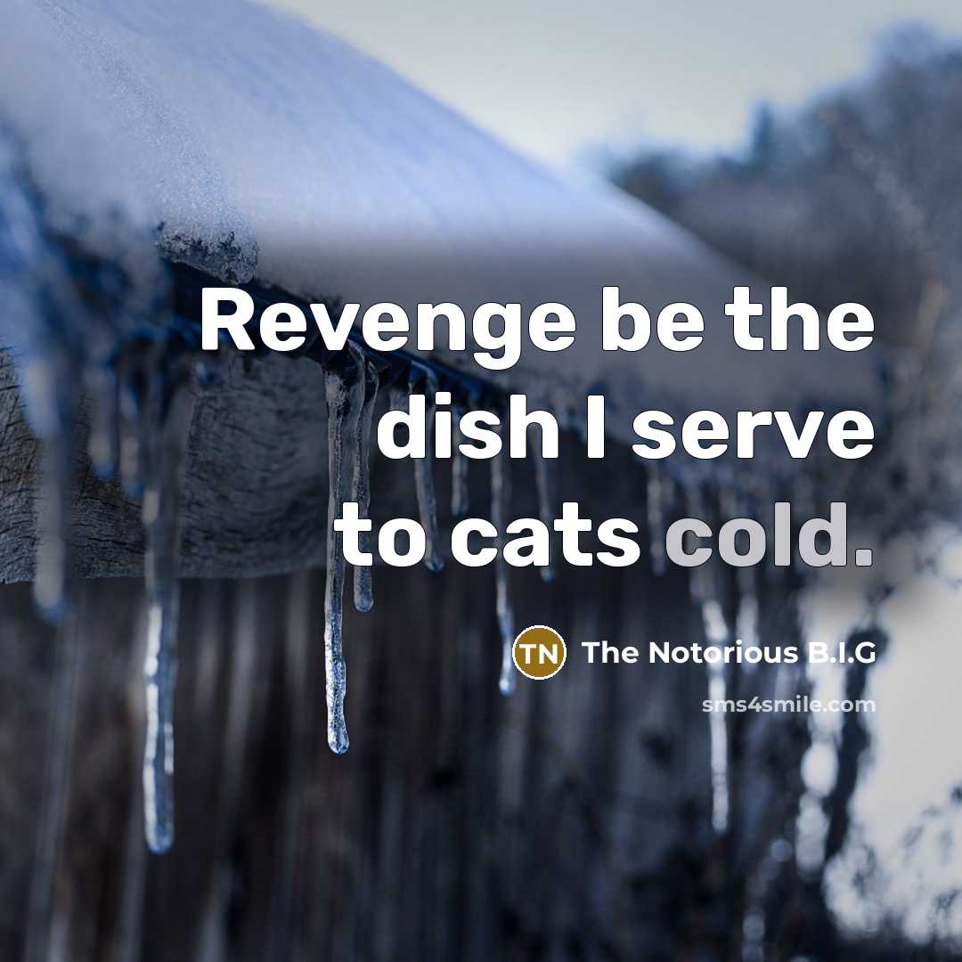 “Revenge be the dish I serve to cats cold.…” quote by The Notorious B.I.G