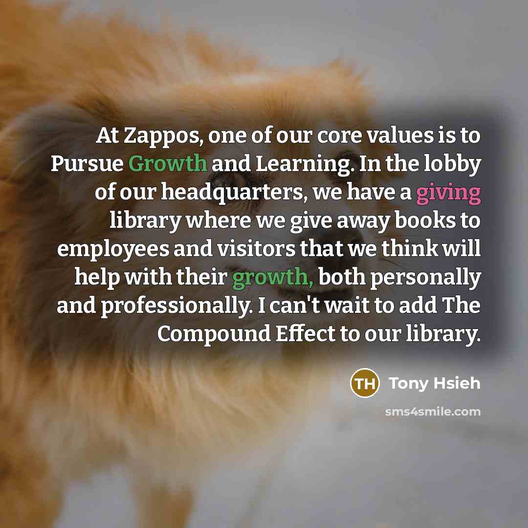 “At Zappos, one of our core values is to Pursue…” quote by Tony Hsieh