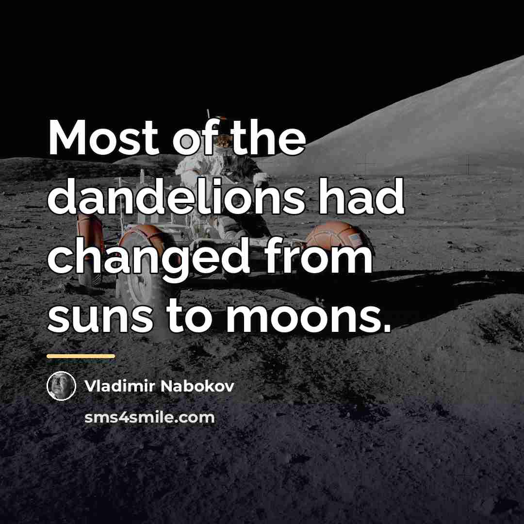 “Most of the dandelions had changed from suns to moons.…” quote by Vladimir Nabokov