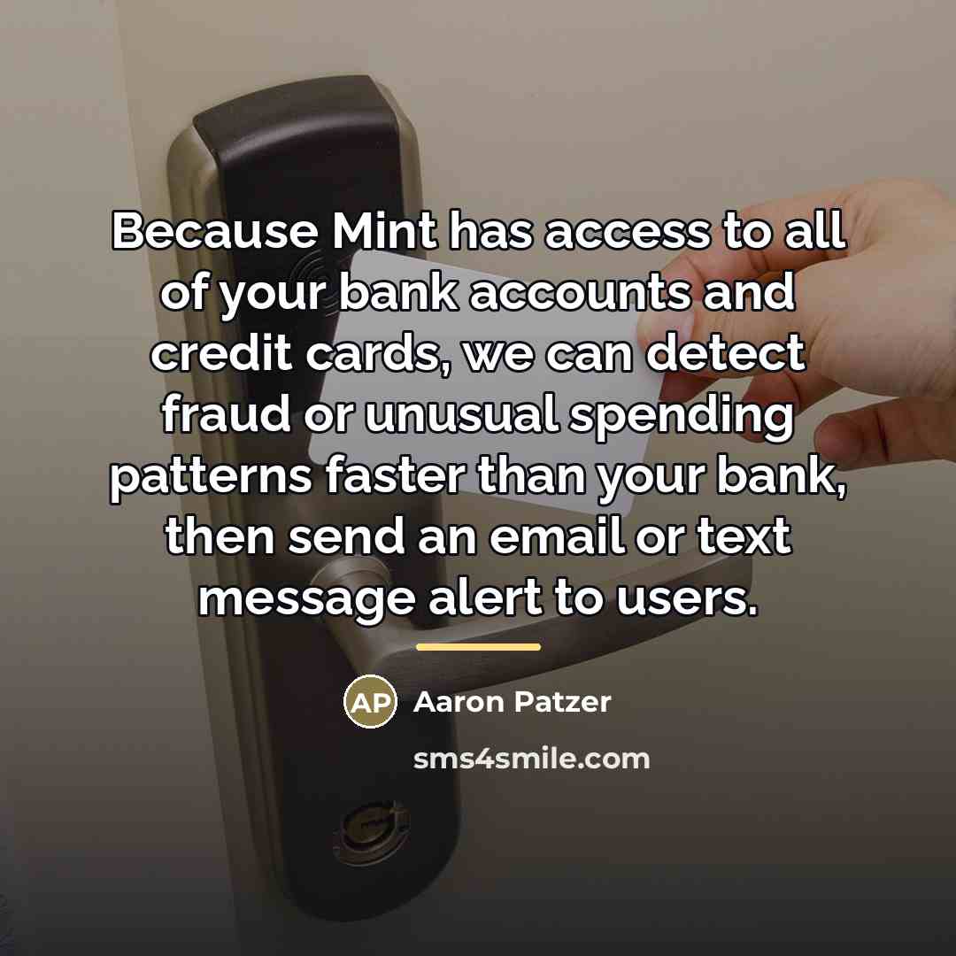 “Because Mint has access to all of your bank accounts…” quote by Aaron Patzer