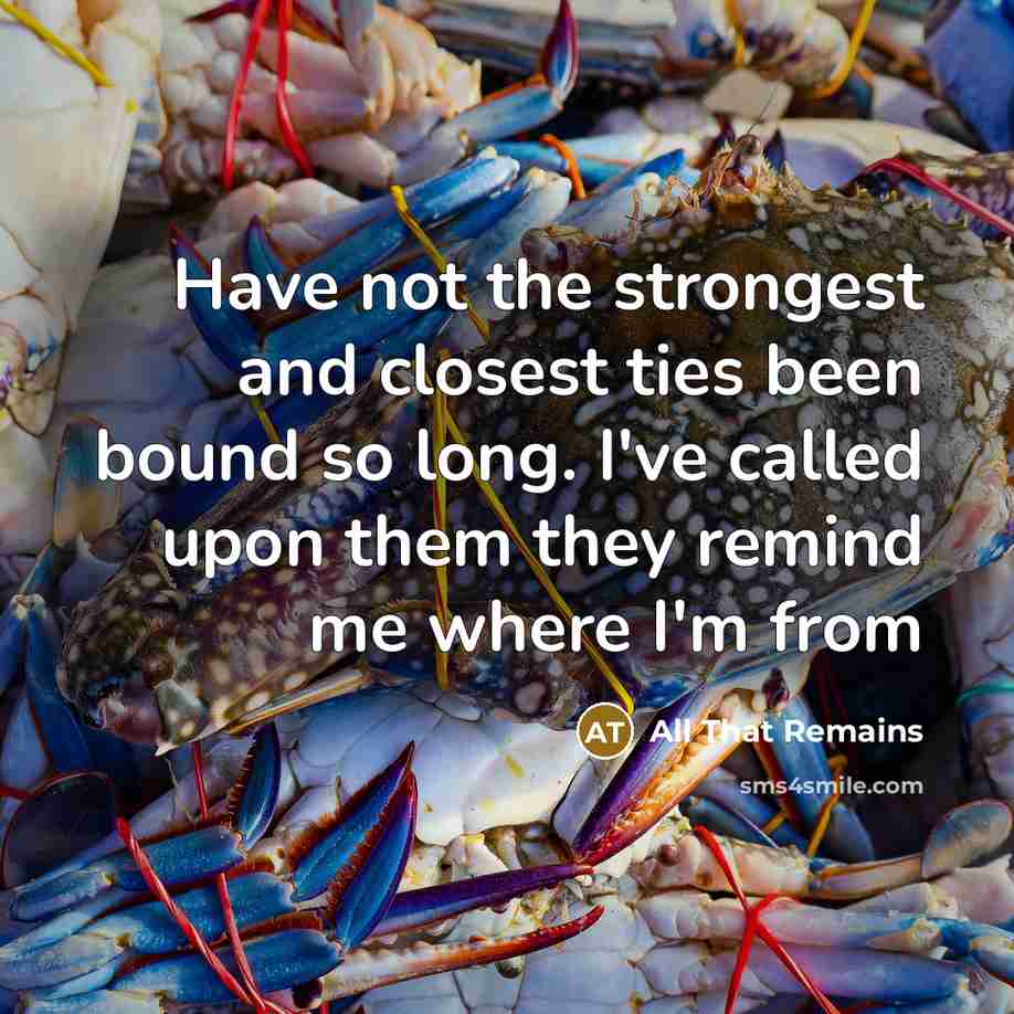 “Have not the strongest and closest ties been bound so…” quote by All That Remains