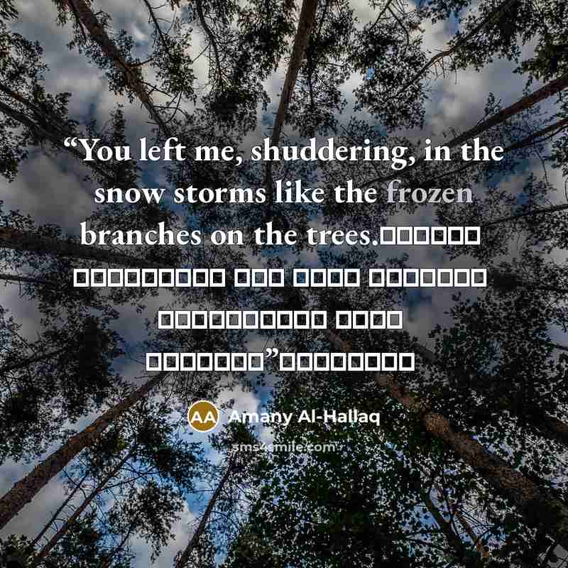 “You left me, shuddering, in the snow storms like the frozen branches on the trees. تركتني أرتجف وحدي وسط زئير العواصف الثلجية مثل فروع الأشجار المتجمدة” quote by Amany Al-Hallaq