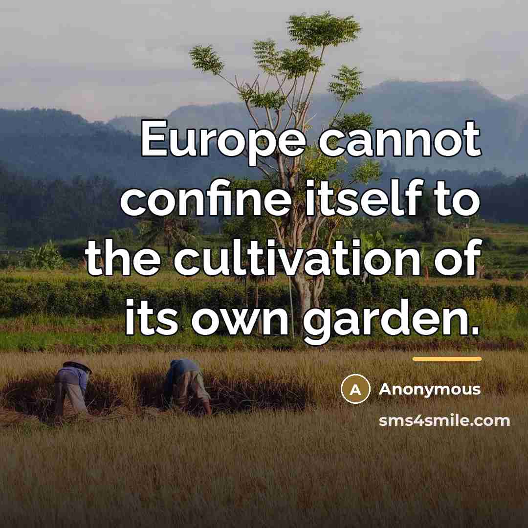 “Europe cannot confine itself to the cultivation of its own…” quote by Anonymous