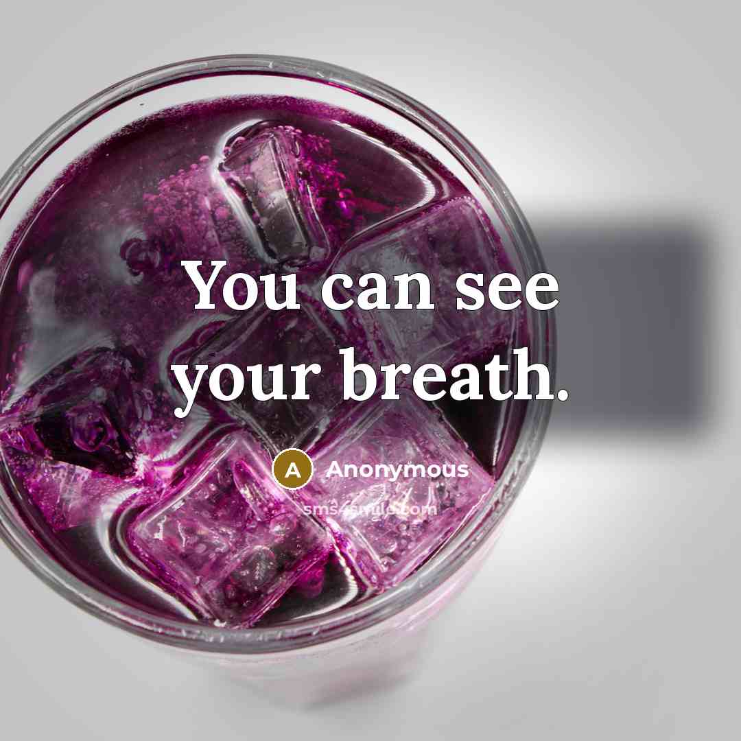 “You can see your breath.…” quote by Anonymous