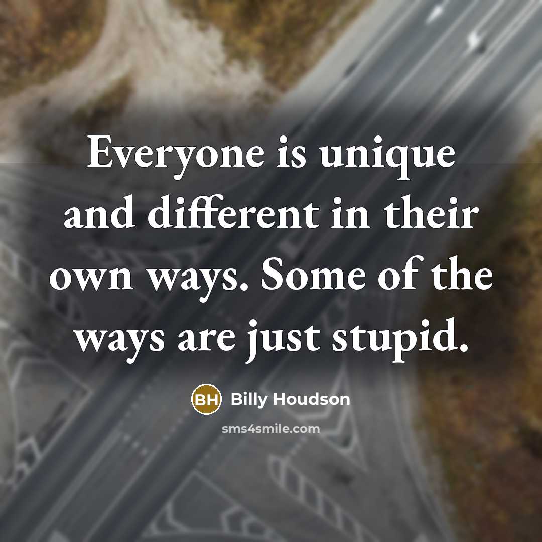 “Everyone is unique and different in their own ways. Some of the ways are just stupid.” quote by Billy Houdson