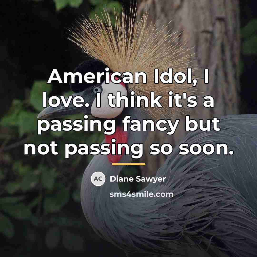 “American Idol, I love. I think it's a passing fancy…” quote by Diane Sawyer