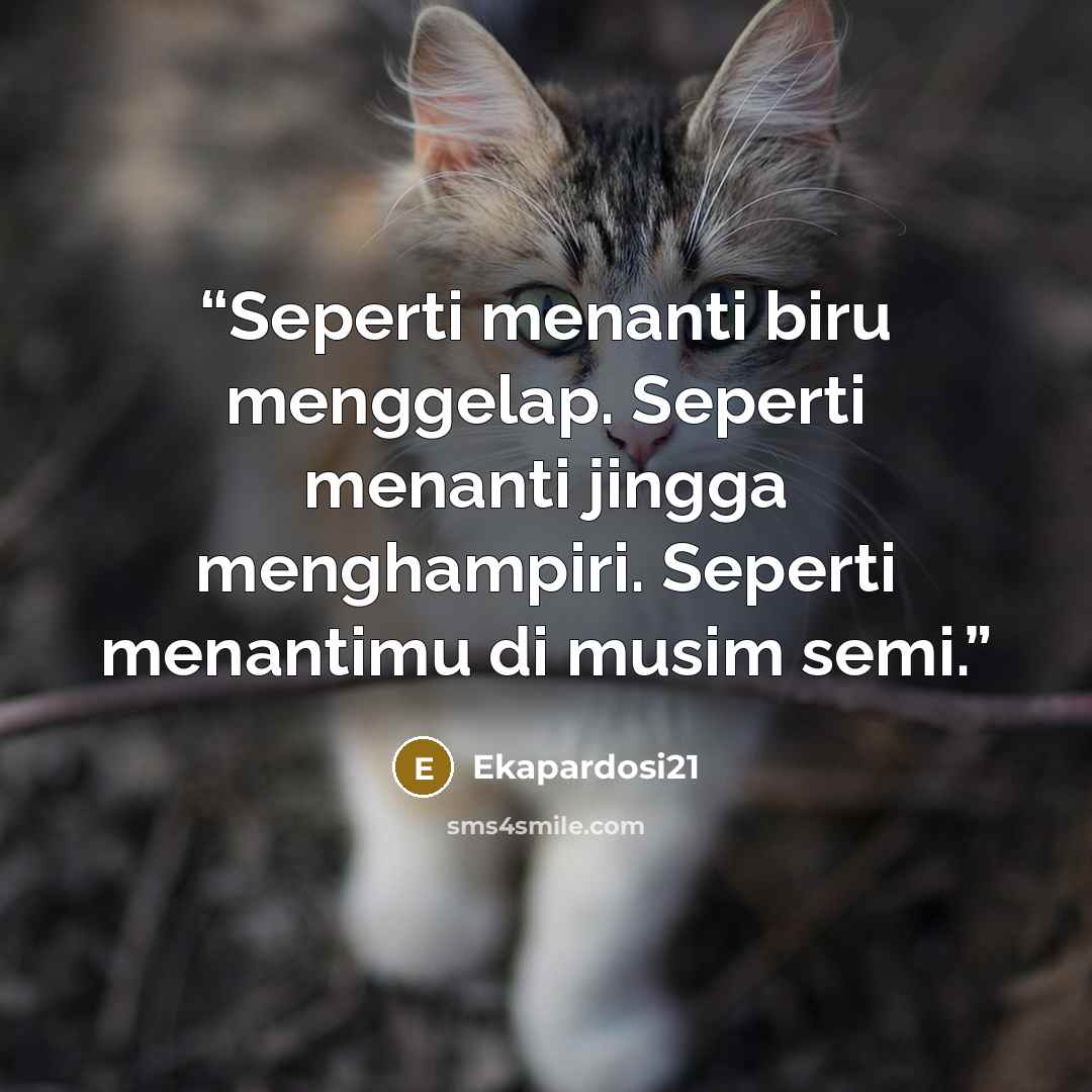 “Seperti menanti biru menggelap. Seperti menanti jingga menghampiri. Seperti menantimu di musim semi.” quote by Ekapardosi21