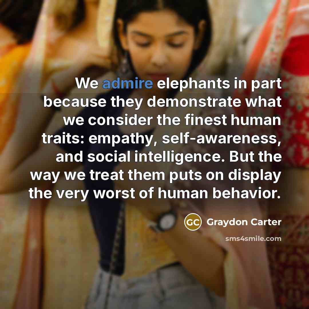 “We admire elephants in part because they demonstrate what we…” quote by Graydon Carter