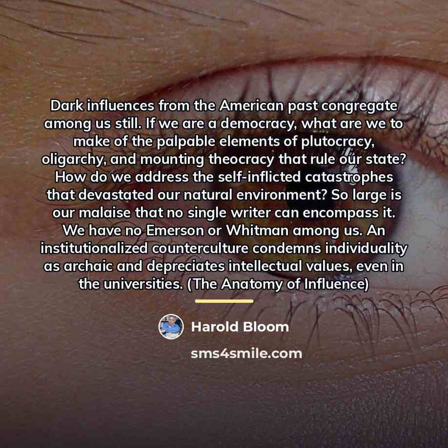 “Dark influences from the American past congregate among us still.…” quote by Harold Bloom