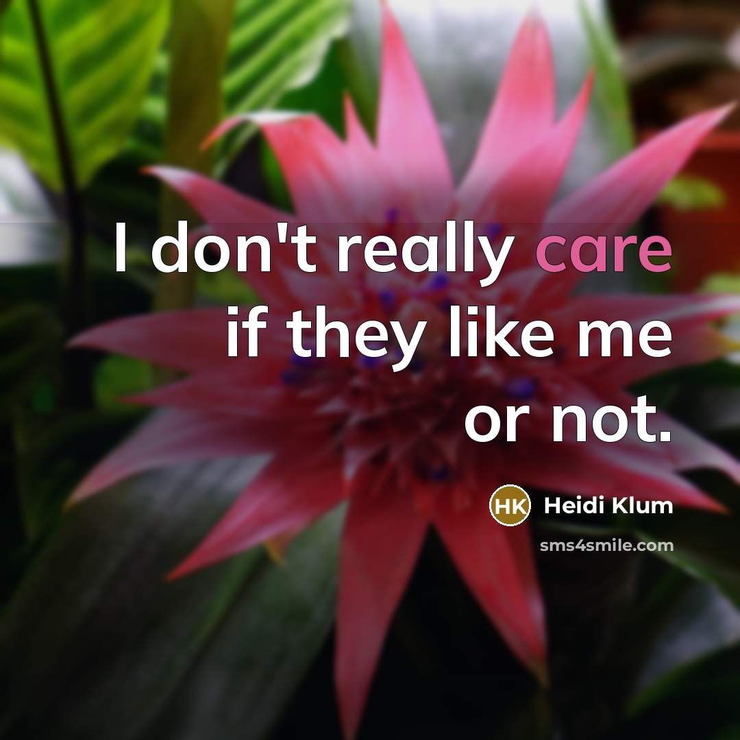 “I don't really care if they like me or not.…” quote by Heidi Klum