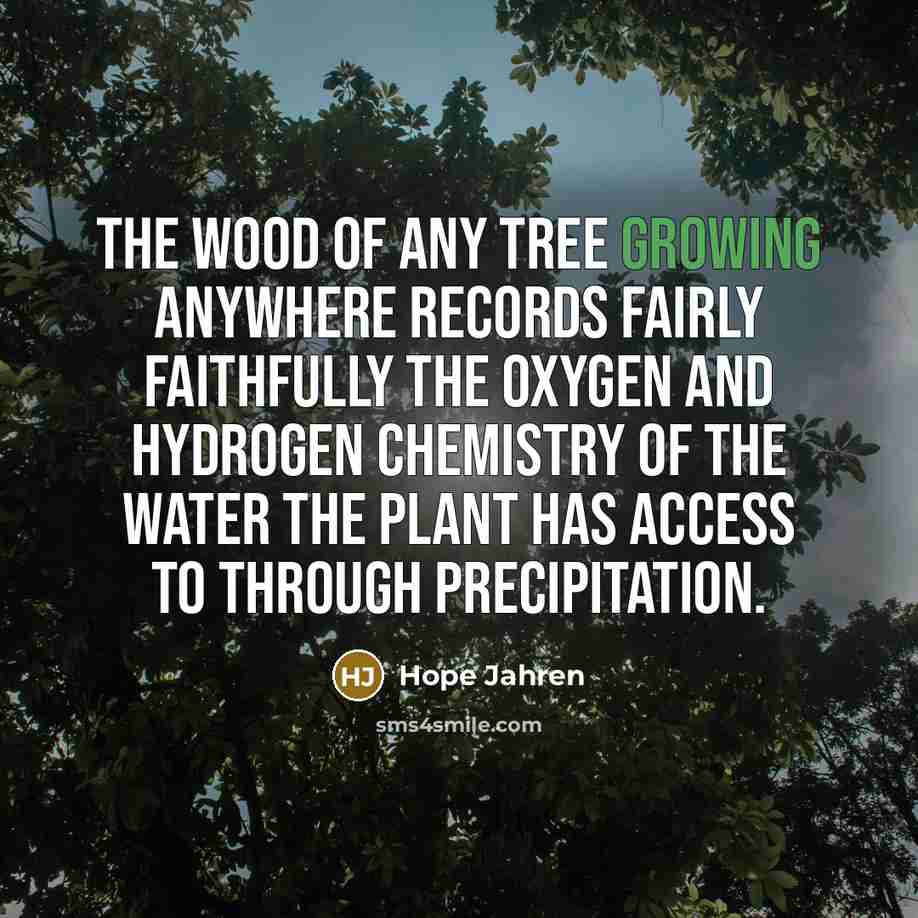 “The wood of any tree growing anywhere records fairly faithfully…” quote by Hope Jahren