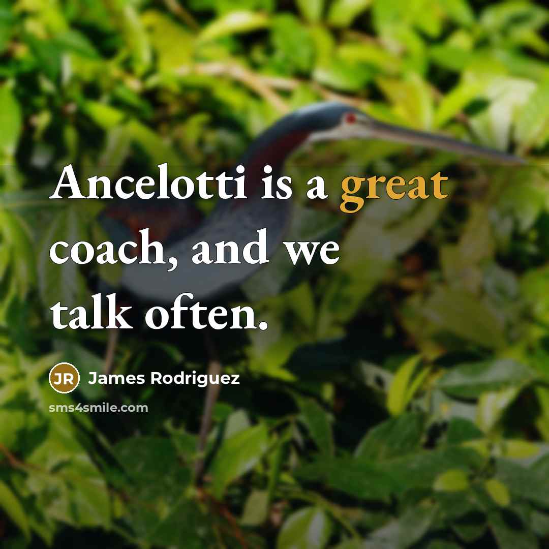 “Ancelotti is a great coach, and we talk often.…” quote by James Rodriguez