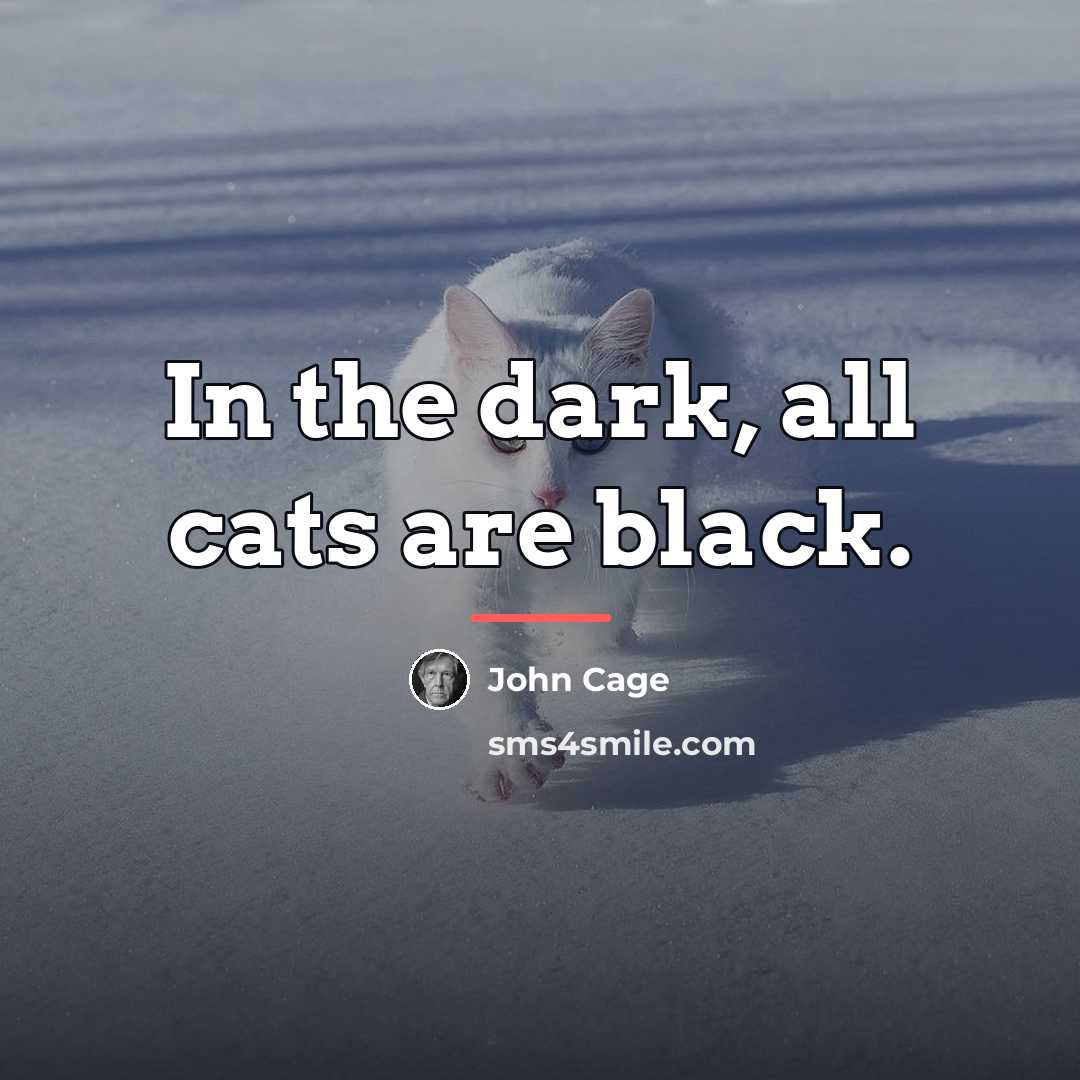 “In the dark, all cats are black.…” quote by John Cage