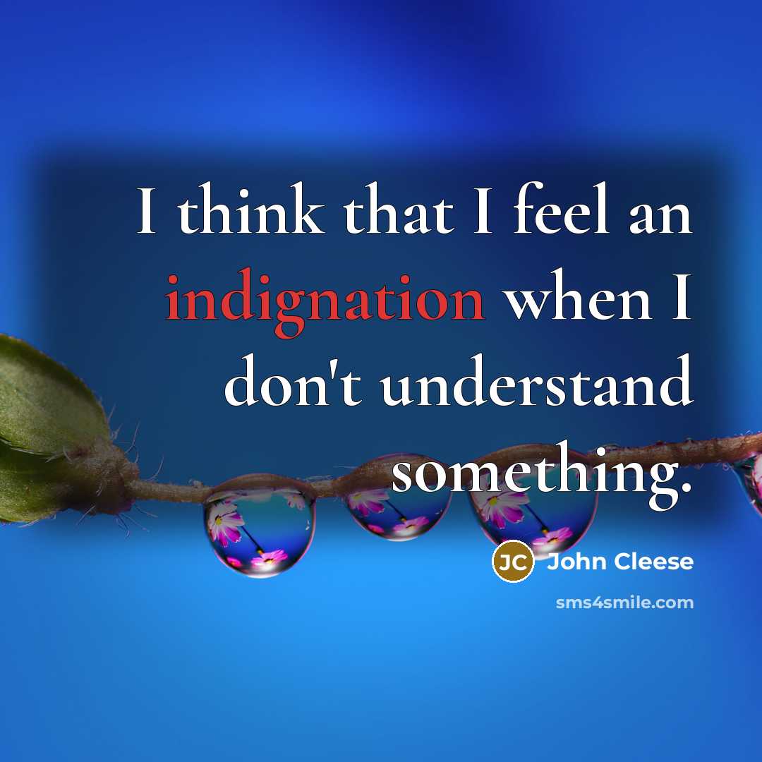 “I think that I feel an indignation when I don't understand something.” quote by John Cleese