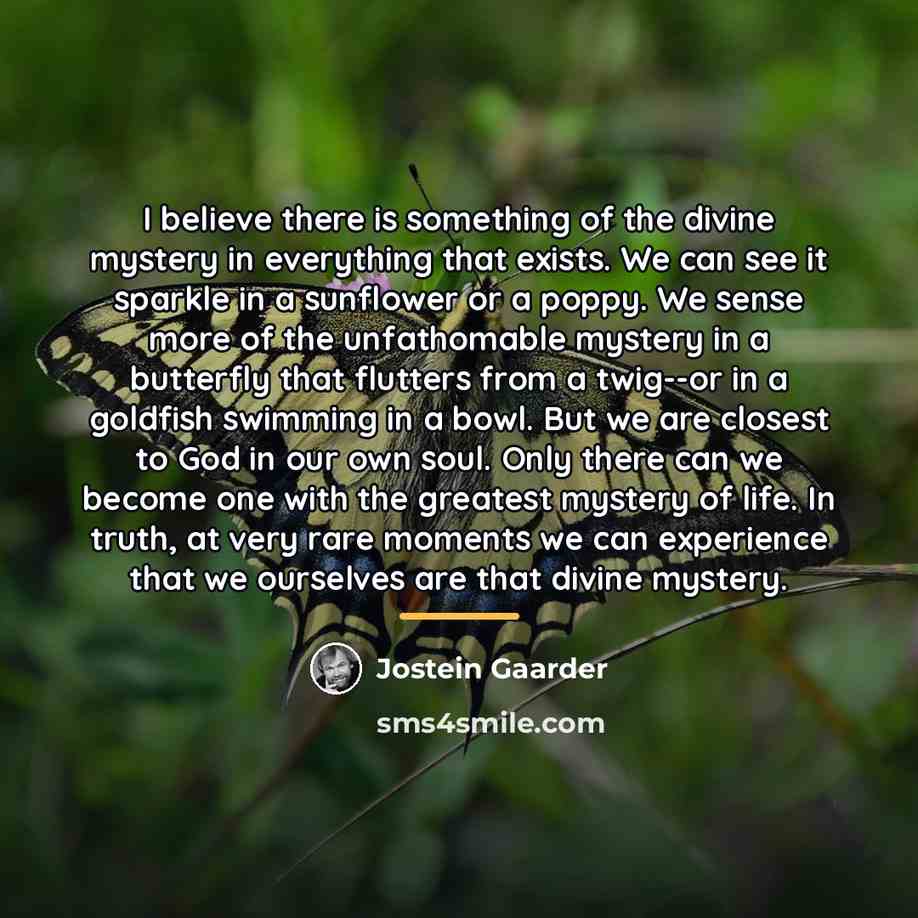 “I believe there is something of the divine mystery in…” quote by Jostein Gaarder