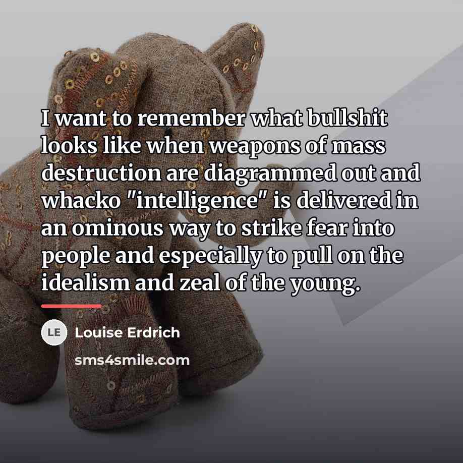 “I want to remember what bullshit looks like when weapons…” quote by Louise Erdrich