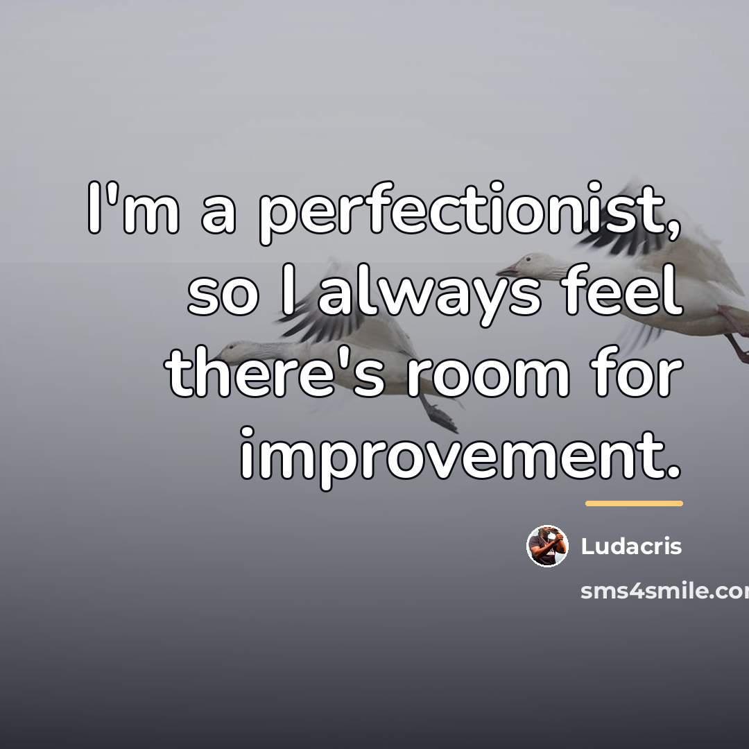 “I'm a perfectionist, so I always feel there's room for…” quote by Ludacris
