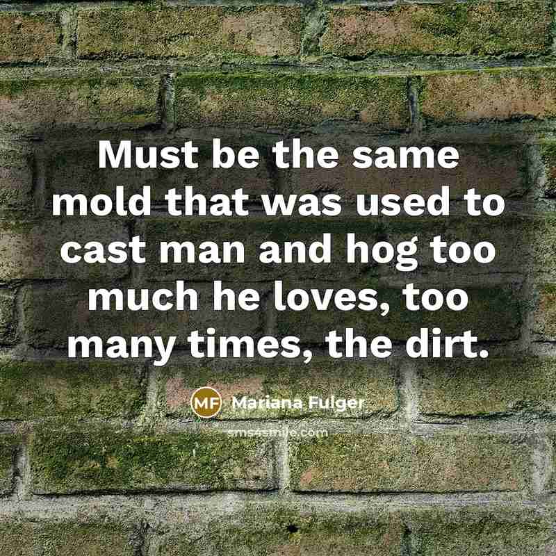 “Must be the same mold that was used to cast…” quote by Mariana Fulger