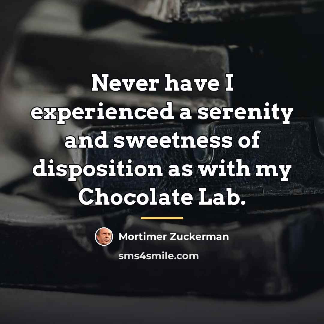 “Never have I experienced a serenity and sweetness of disposition…” quote by Mortimer Zuckerman
