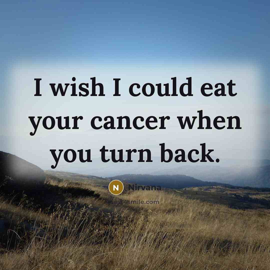 “I wish I could eat your cancer when you turn back.” quote by Nirvana