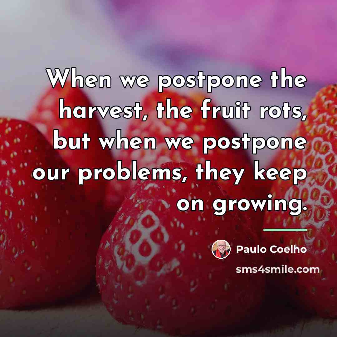 “When we postpone the harvest, the fruit rots, but when…” quote by Paulo Coelho